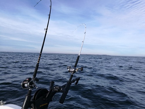 Großenbrode de
<p>Out for the big catch.&nbsp;</p><p>Trolling vor Gro&szlig;enbrode&nbsp;</p>
Recreational fishing / angling equipment
Sebastian Schreiber